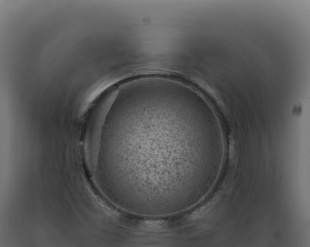 X0000089951453200707061111
