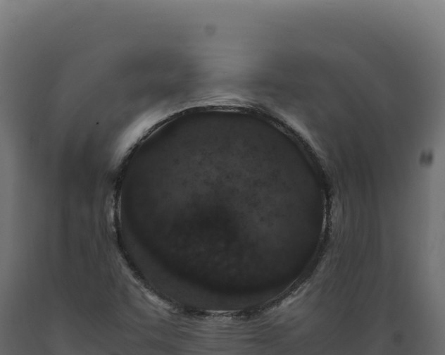 X0000089951455200707061111