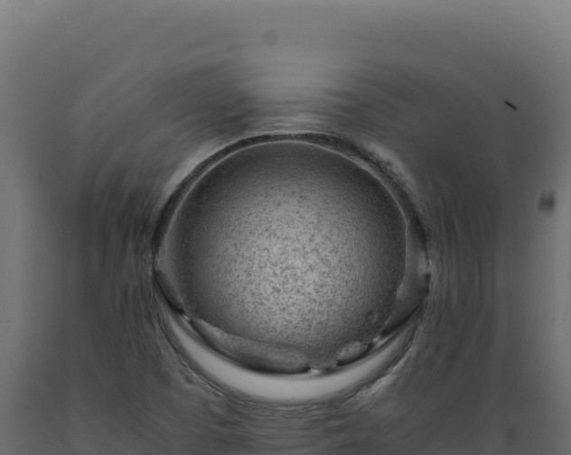 X0000089951457200707061111