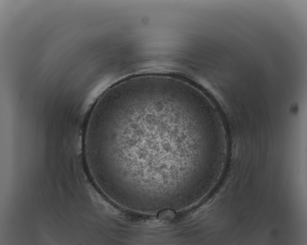 X0000089951459200707061111