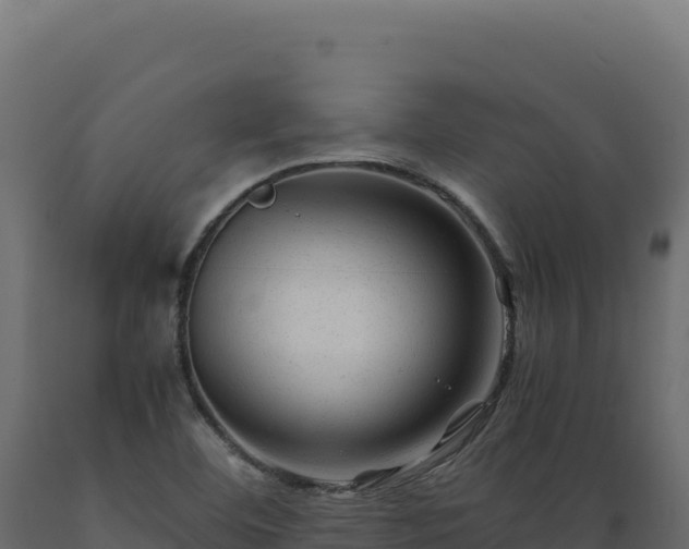 X0000089951460200707061111