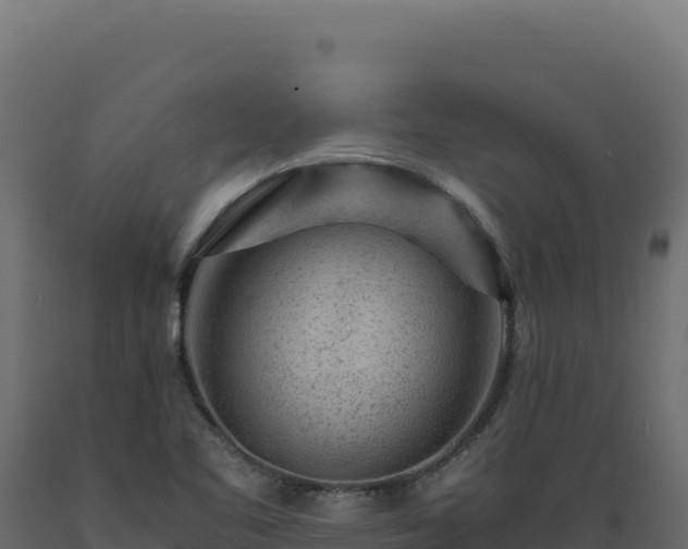 X0000089951461200707061111