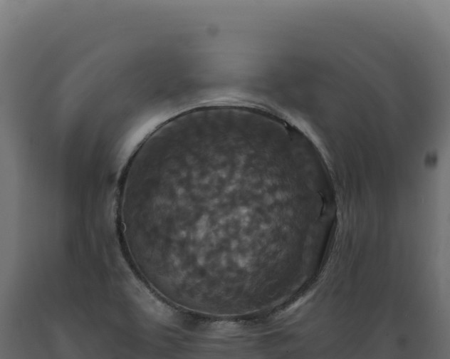 X0000089951463200707061111