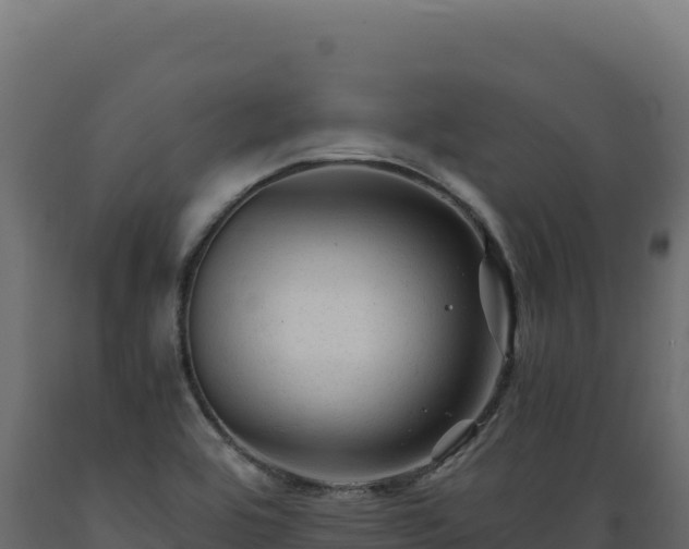 X0000089951464200707061111