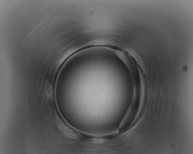 X0000089951465200707061111