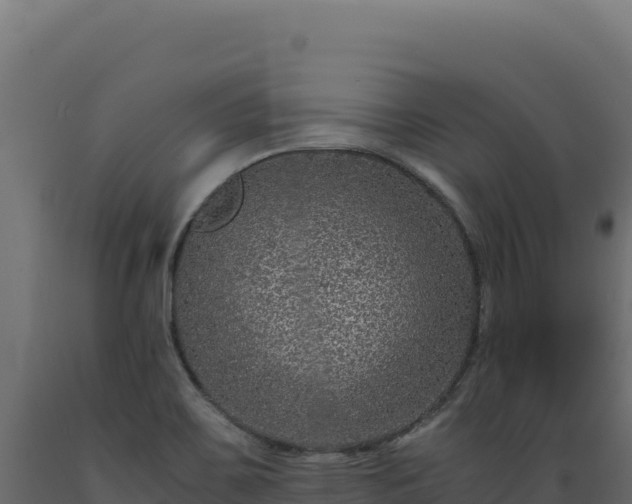 X0000089951467200707061111
