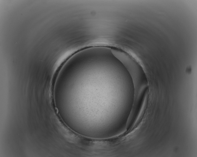 X0000089951469200707061111
