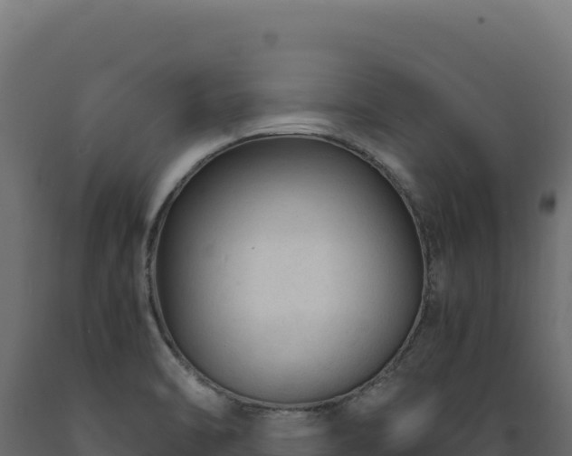 X0000089951470200707061111