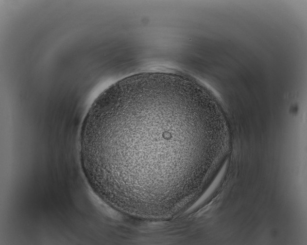 X0000089951471200707061111