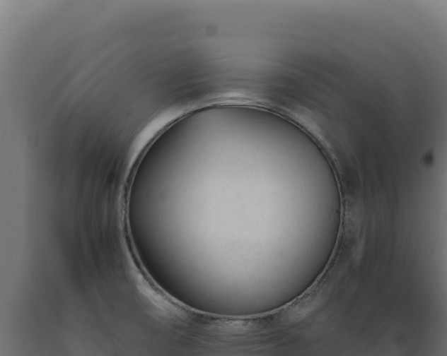 X0000089951474200707061111