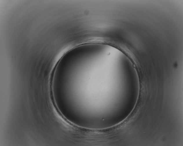 X0000089951475200707061110