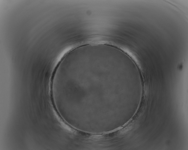 X0000089951477200707061110