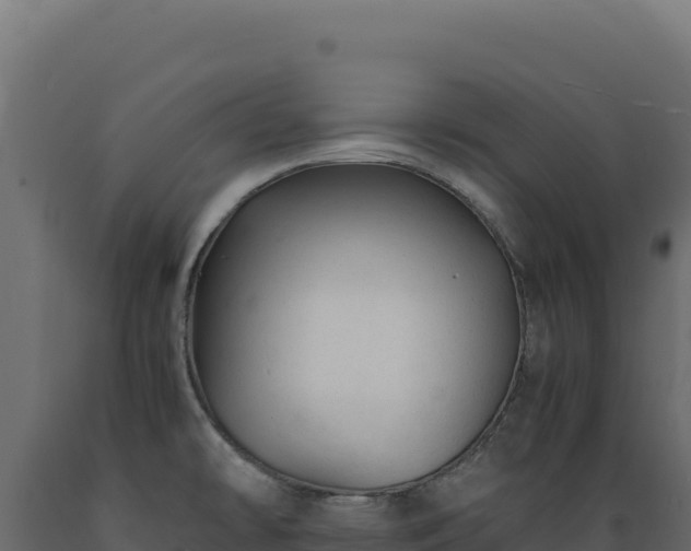 X0000089951478200707061110