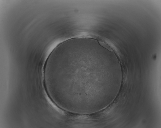 X0000089951479200707061110