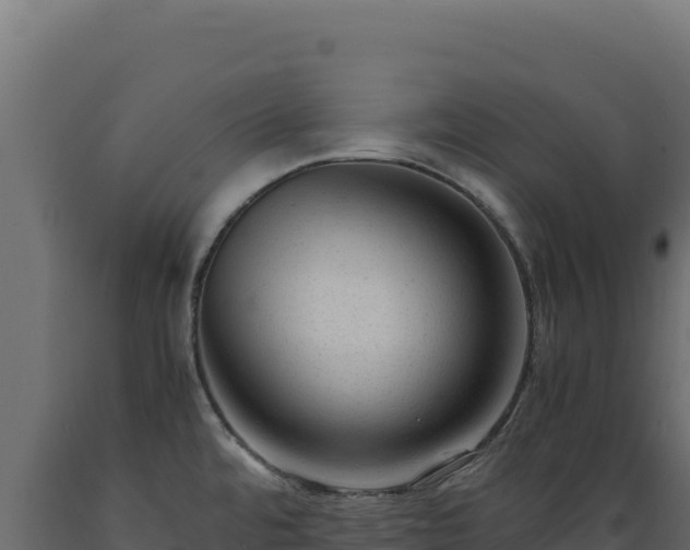 X0000089951480200707061110
