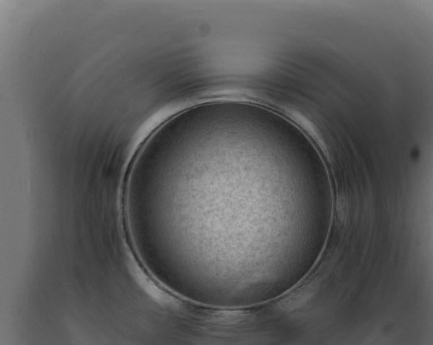 X0000089951482200707061110