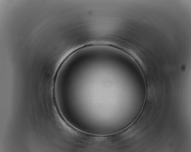 X0000089951484200707061110