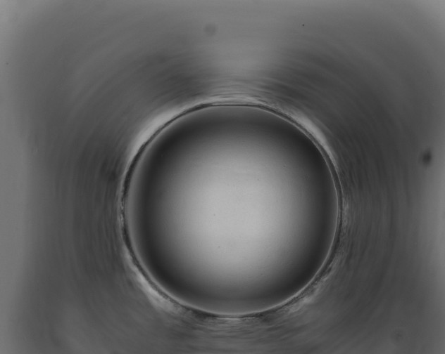 X0000089951485200707061110