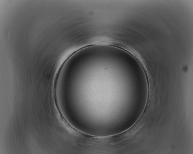 X0000089951488200707061110