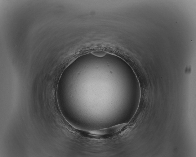 X0000089951489200707061110