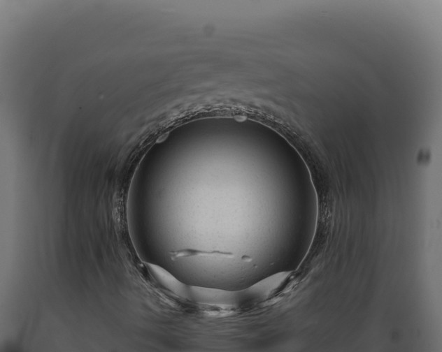 X0000089951490200707061110