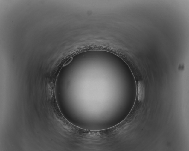 X0000089951491200707061110