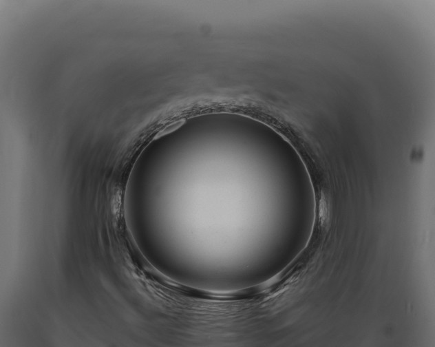 X0000089951492200707061110