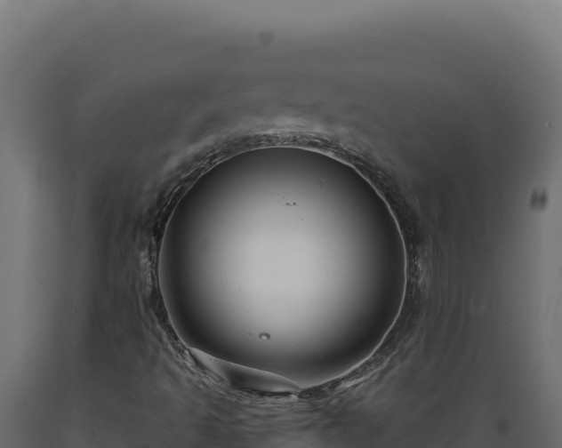 X0000089951493200707061110