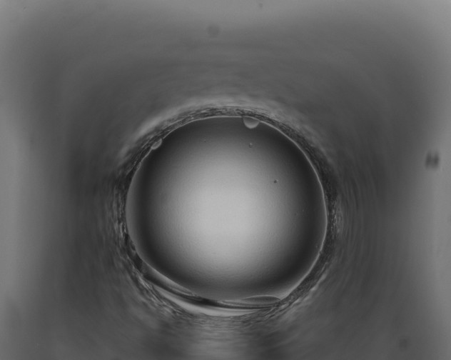 X0000089951494200707061110