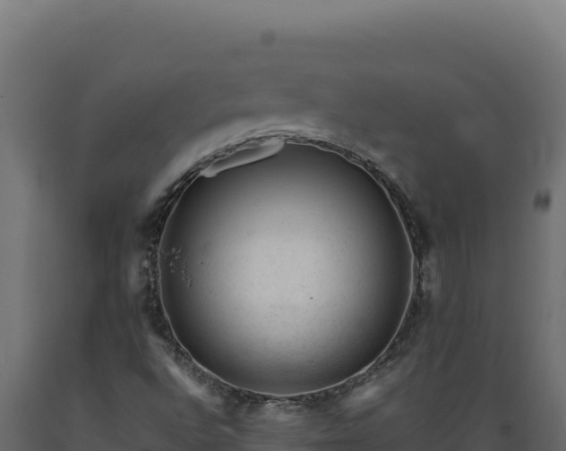 X0000089951496200707061110