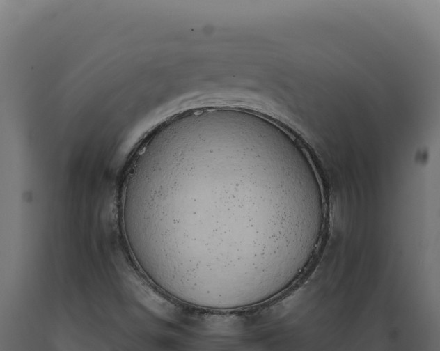 X0000089951498200707061110