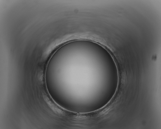 X0000089951499200707061110