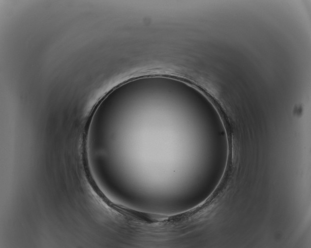 X0000089951500200707061110