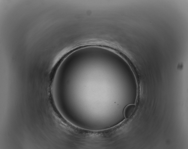 X0000089951501200707061110