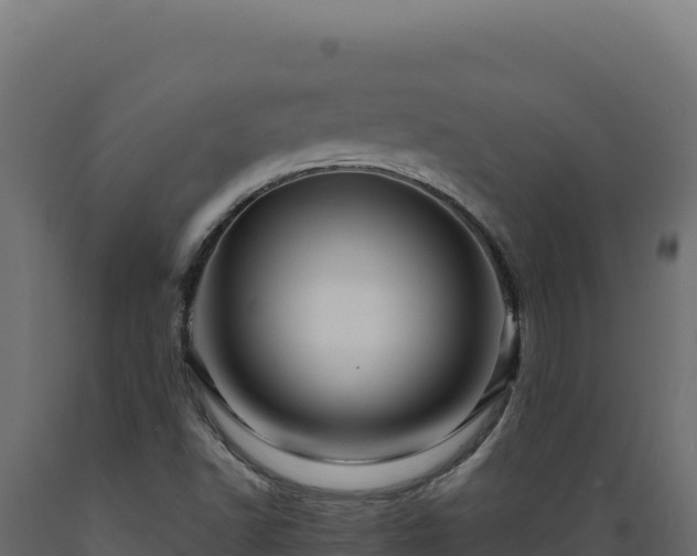X0000089951502200707061110