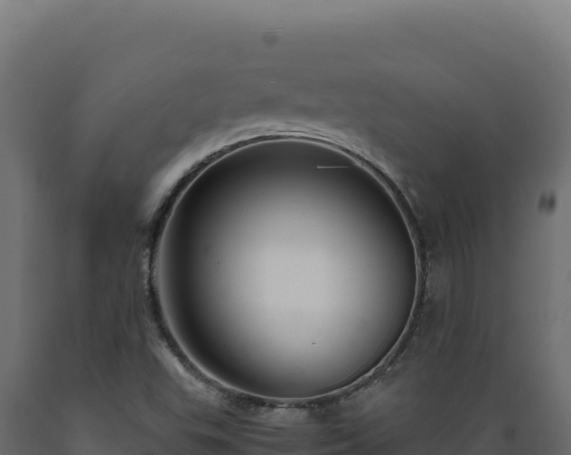 X0000089951503200707061110
