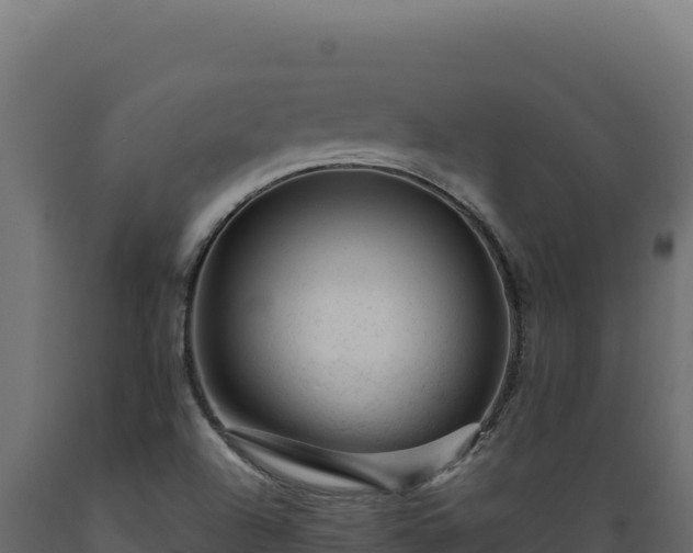X0000089951504200707061110