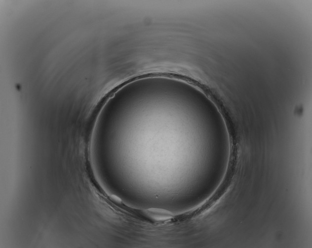 X0000089951505200707061110