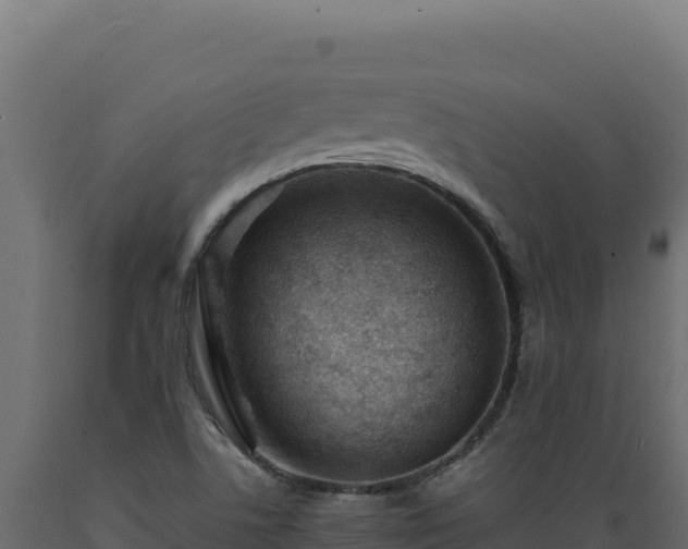 X0000089951506200707061110