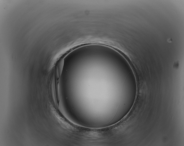 X0000089951507200707061110
