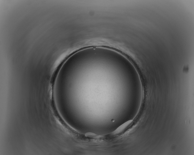 X0000089951509200707061110