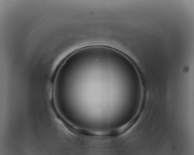 X0000089951510200707061110