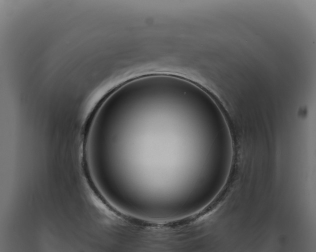 X0000089951511200707061110