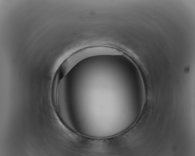 X0000089951512200707061110