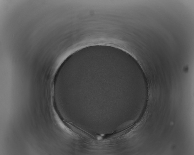 X0000089951515200707061110