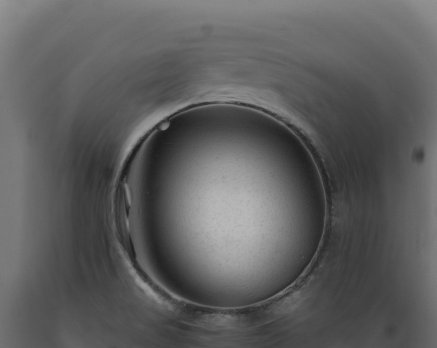 X0000089951517200707061110