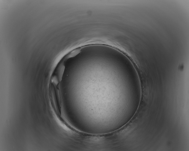 X0000089951519200707061110