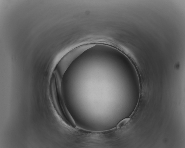 X0000089951520200707061110