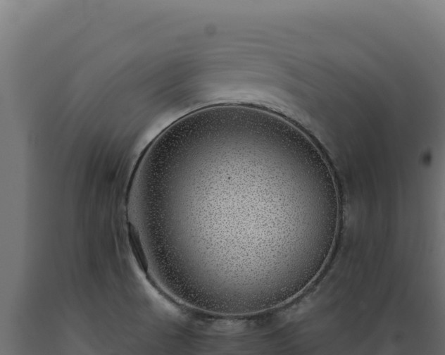 X0000089951521200707061110