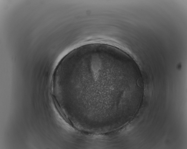 X0000089951522200707061110